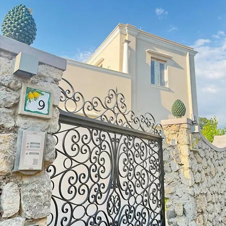 Darly Анакапри